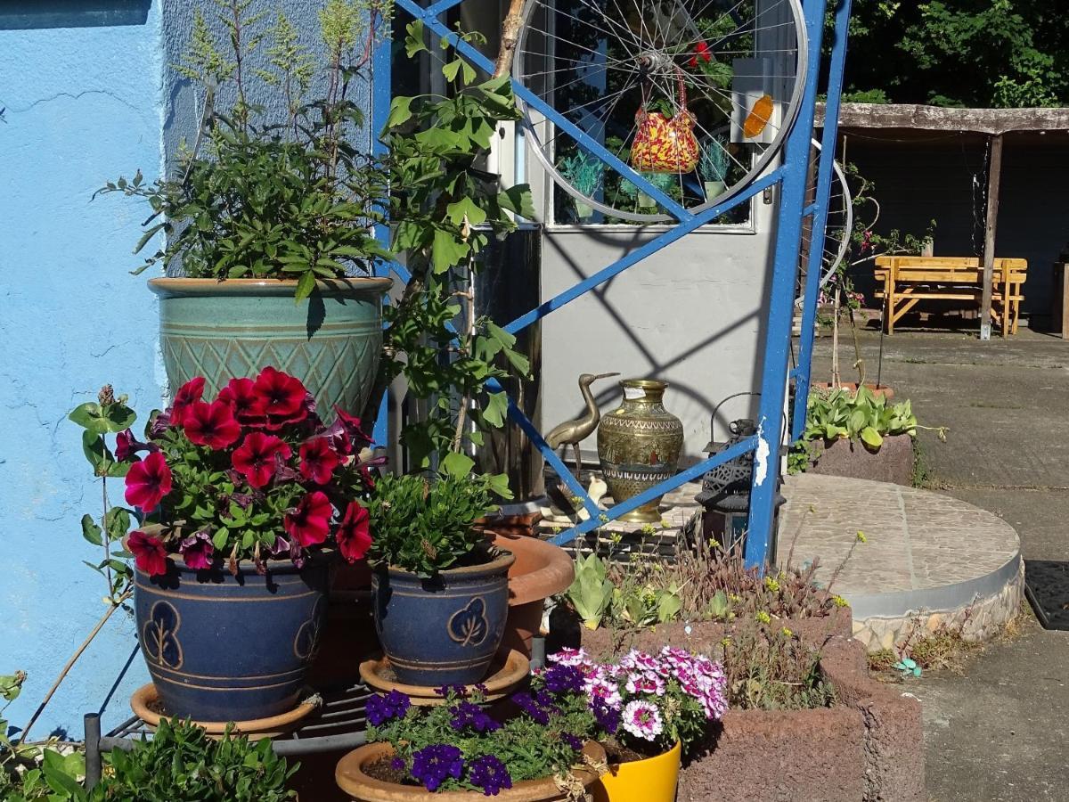 ホテルGasthof Blaues Haus Bastorf エクステリア 写真