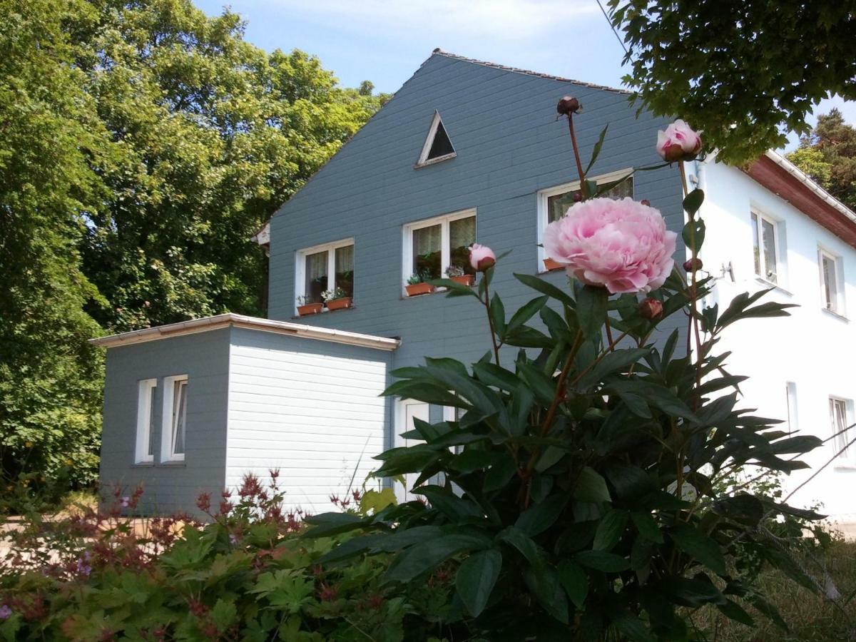 ホテルGasthof Blaues Haus Bastorf エクステリア 写真